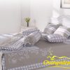 ccham-bi-w90
