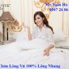Chăn Lông Vũ Luxury
