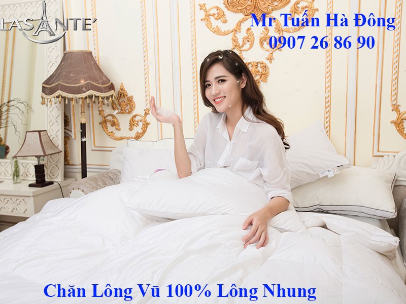 Chăn Lông Vũ Luxury