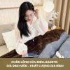 Chăn Lông Cừu Giá Sinh Viên – Chất Lượng Gia Đình