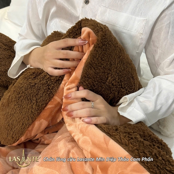 Diệp Thảo Cam Phấn